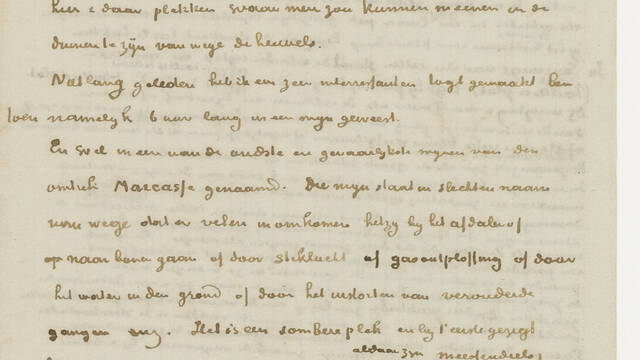 Retranscription d'une lettre à son frère Théo (avril 1879)