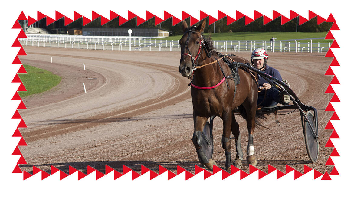 À l’Hippodrome, c’est hippique ! 