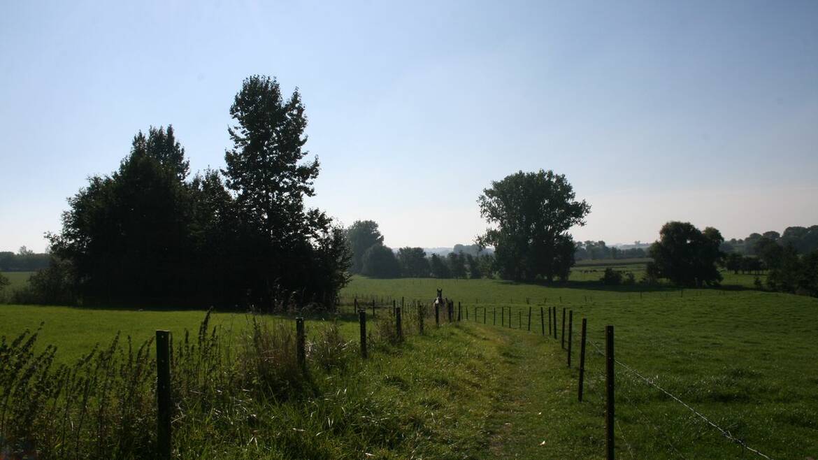 Les paysages verts du Borinage